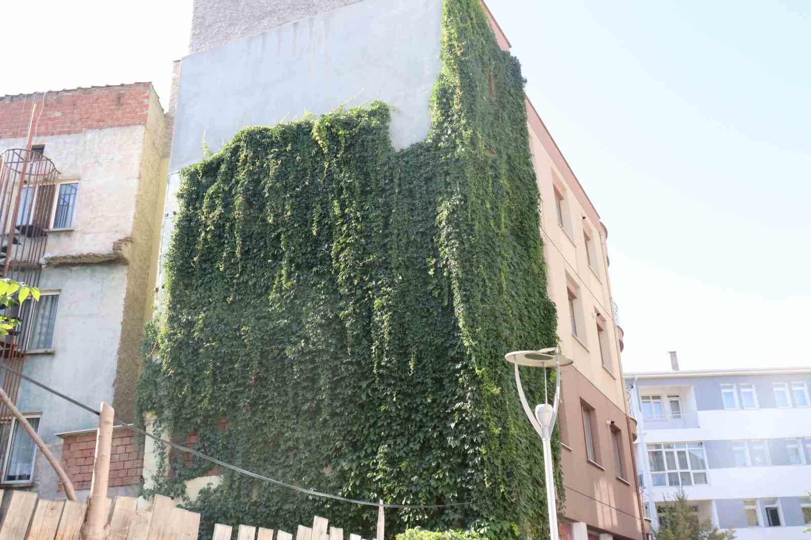 652fe2cd589d0-eskisehirde-sarmasikla-kapli-apartman-gorenleri-hayran-birakti1.jpg