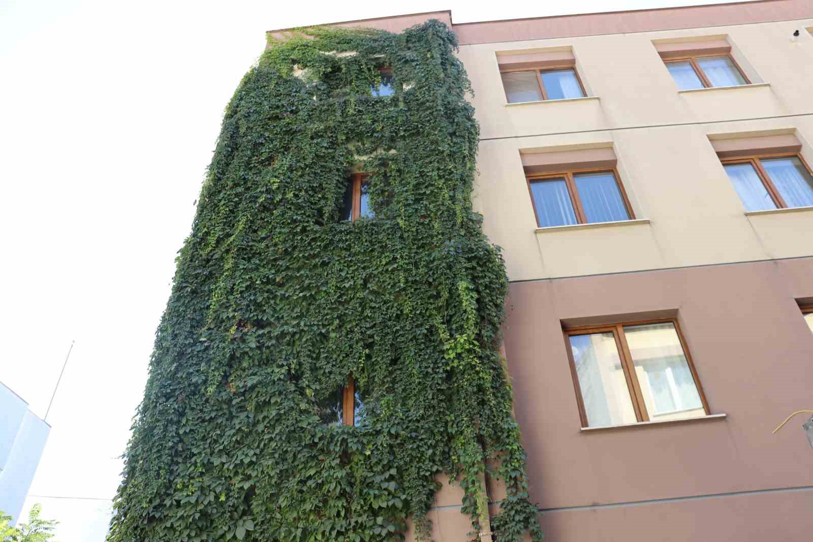 652fe2cde61ef-eskisehirde-sarmasikla-kapli-apartman-gorenleri-hayran-birakti1.jpg