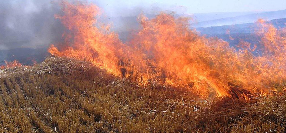 Anız-yakma-Geleceğini-koru.jpg