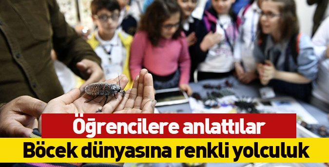 Böcek-dünyasına-renkli-yolculuk.jpg