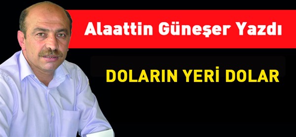 DOLARIN-YERİ-DOLAR.jpg