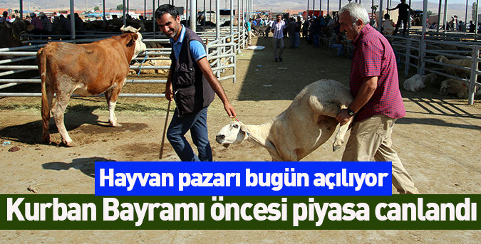 Hayvan-pazarı-bugün-açılıyor.jpg