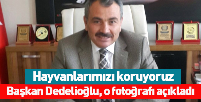 Hayvanlarımızı-koruyoruz.jpg