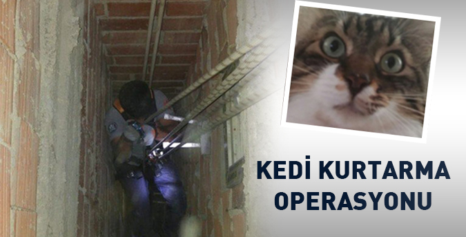 KEDİ-KURTARMA.jpg