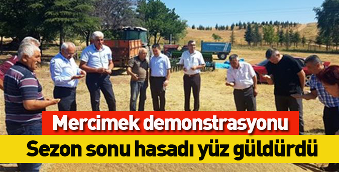 MERCİMEK.jpg