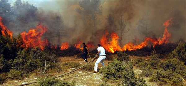 Orman-yangınına-destek.jpg