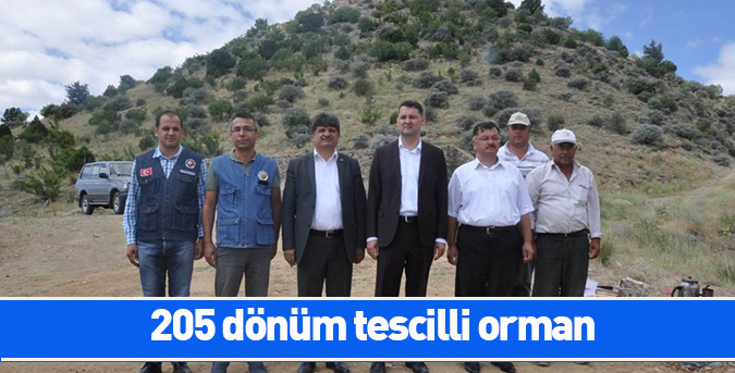 TESCİLLİ-ORMAN.jpg