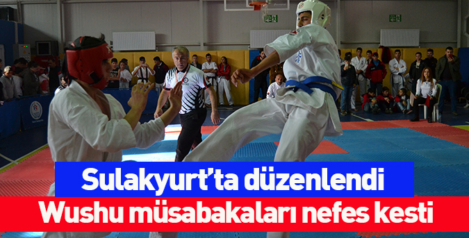 Wushu-müsabakaları-nefes-kesti.jpg