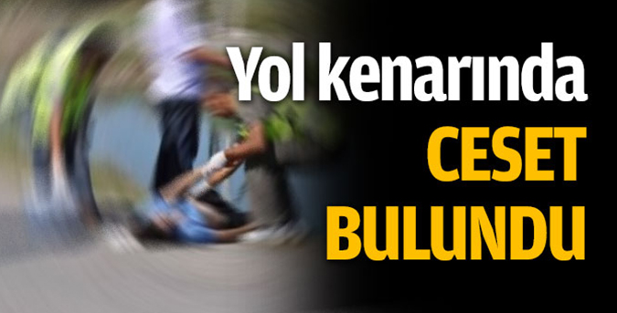 Yol-kenarında-ceset-bulundu.jpg