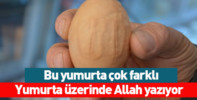 Yumurta-üzerinde-Allah-yazıyor.jpg