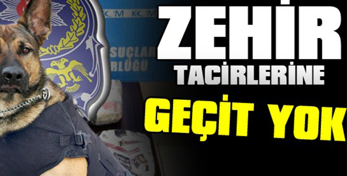 ZEHİR-TACİR.jpg