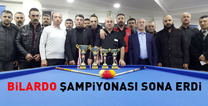 bilardo-sampiyonasi.jpg