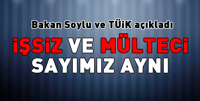 mülteci-ve-issiz-sayısı-aynı.jpg