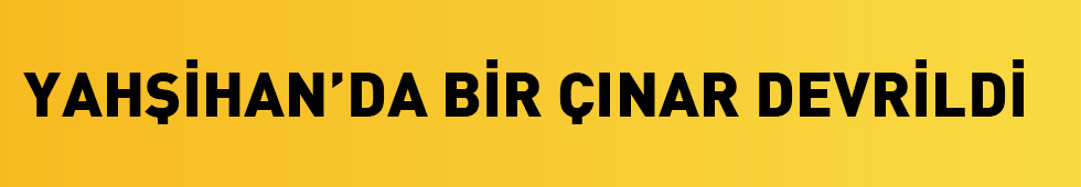 meryemturkyilmaz.jpg