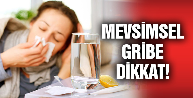 mevsilsel-grip.jpg