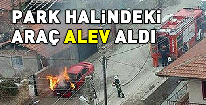 park-halindeki-arac-alev-aldi.jpg