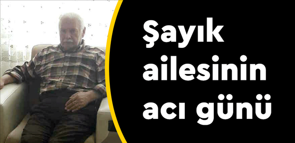 sayik.png