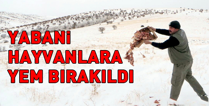 yabani-hayvanlara.jpg