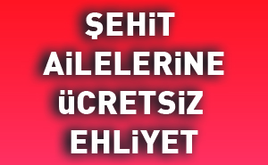 yan-ücretsiz-ehliyet.jpg